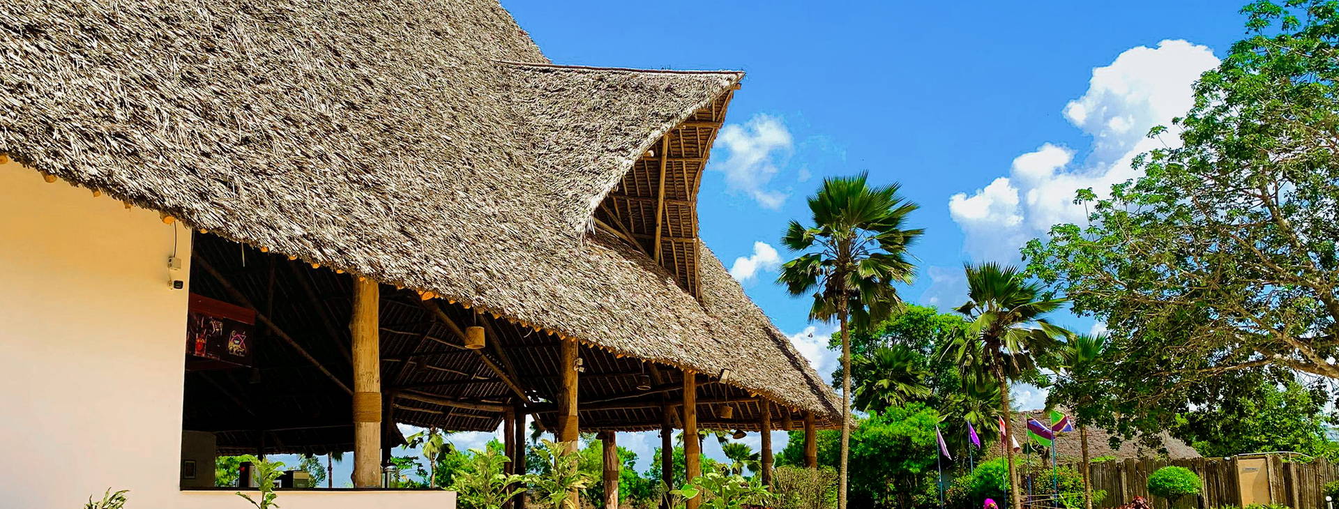 Royal Mandarin Obrázek16