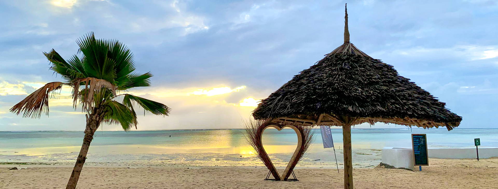 Royal Mandarin Obrázek5