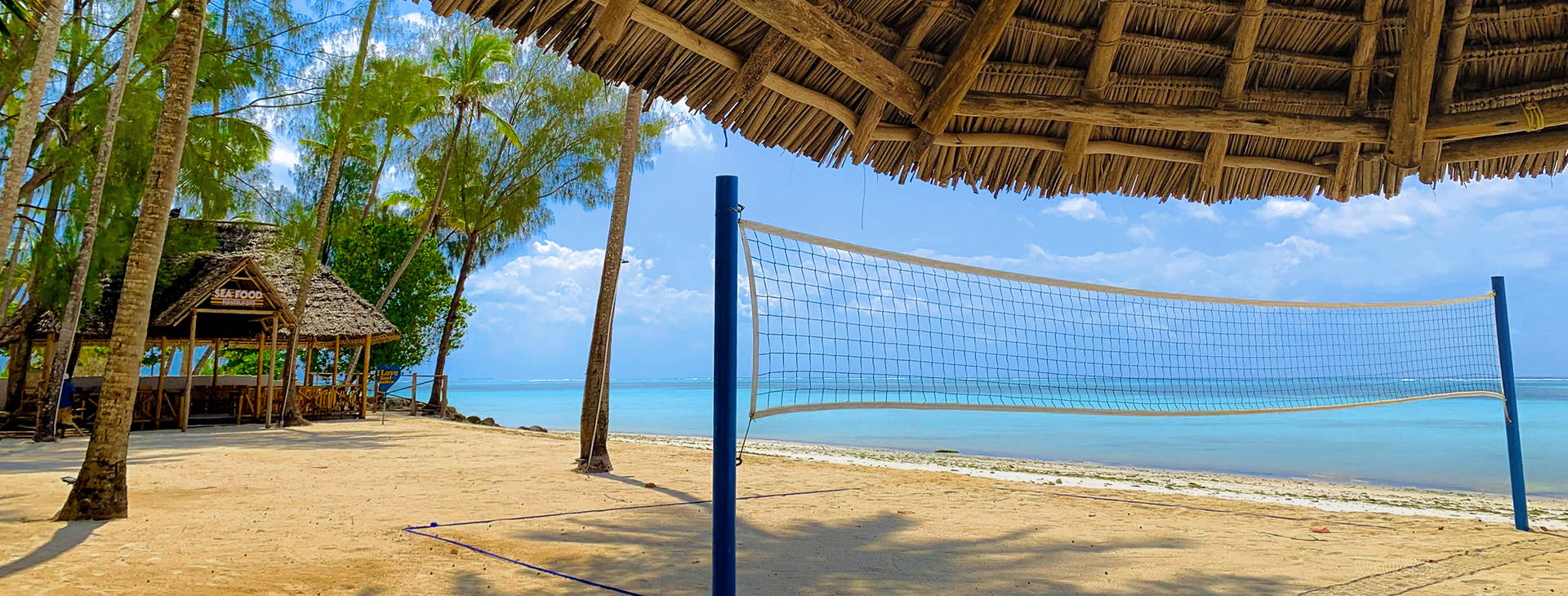 Royal Mandarin Obrázek23