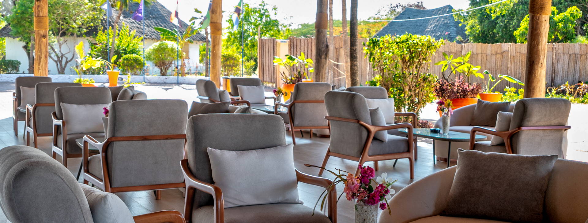 Royal Mandarin Obrázek25