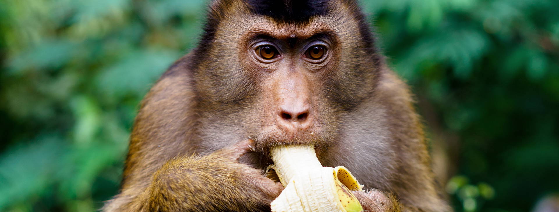 Ubytování TRR Obrázek8