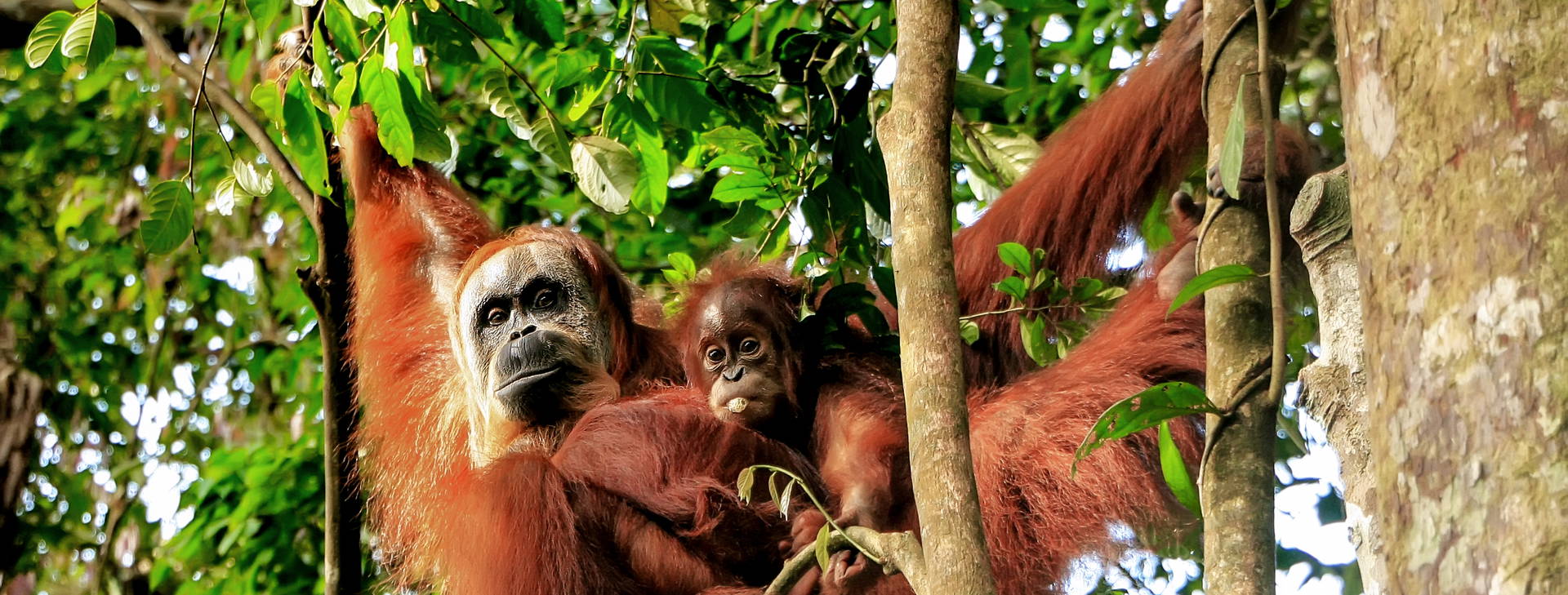 Ubytování TRR Obrázek15