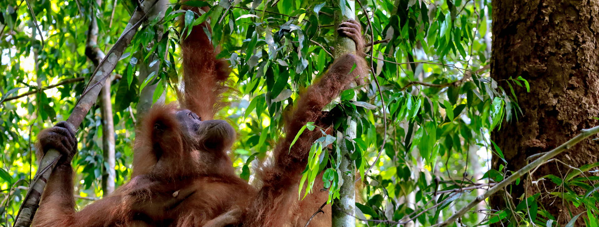 Ubytování TRR Obrázek27