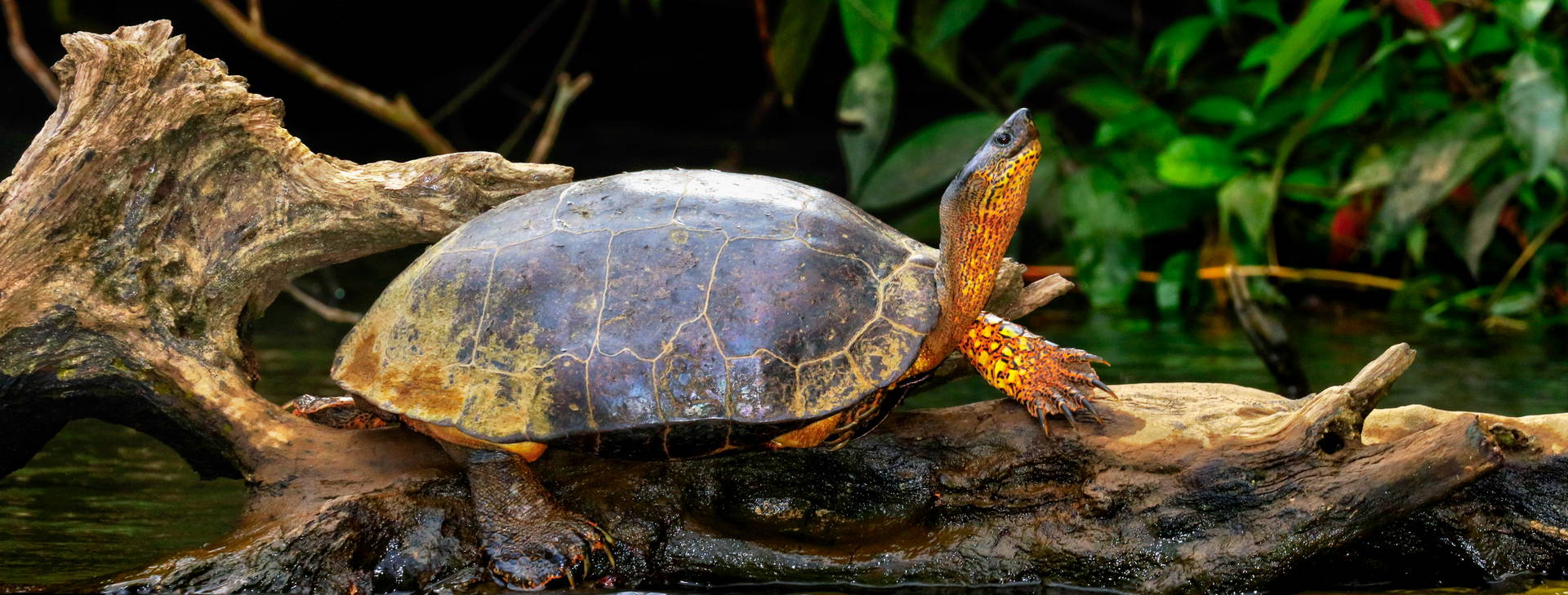 Ubytování NIK Obrázek18