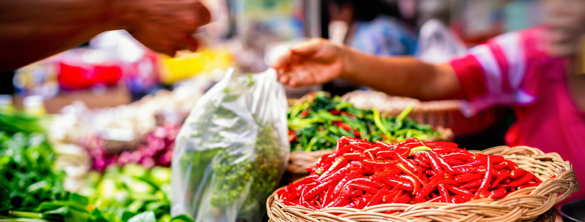 Ubytování TSN Obrázek2