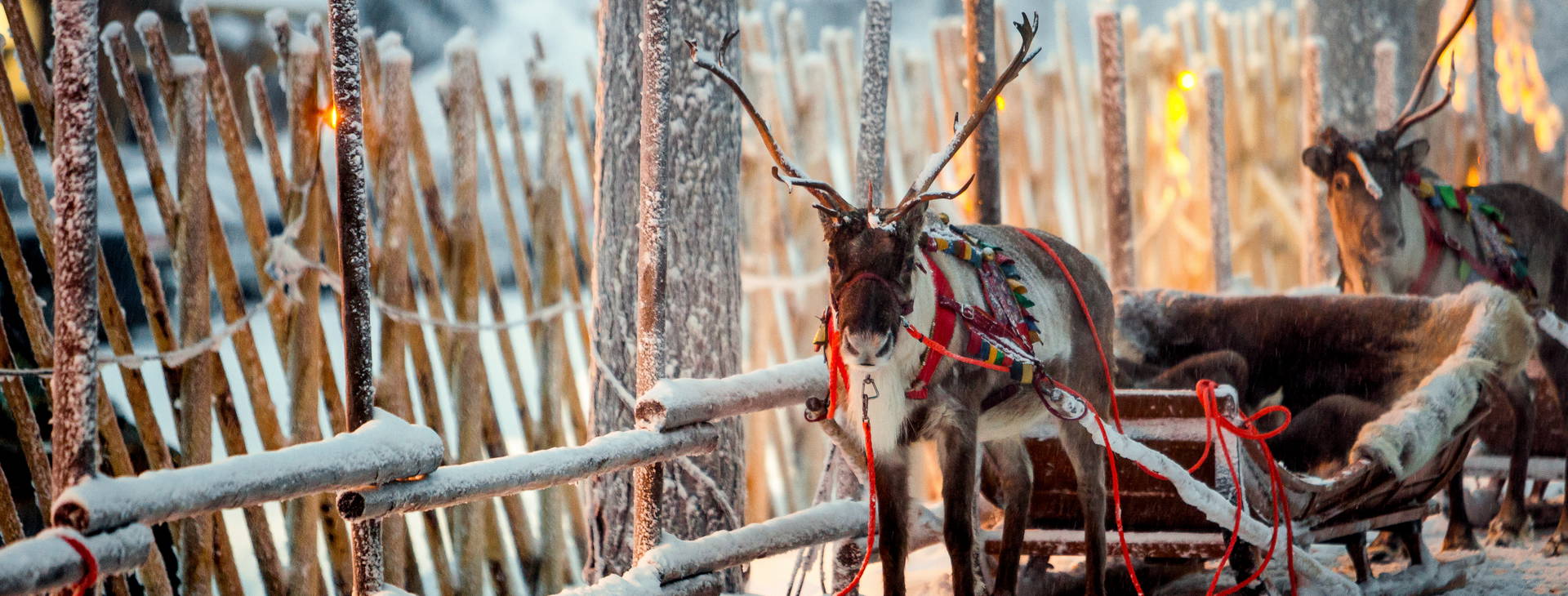Ubytování RVN Obrázek8
