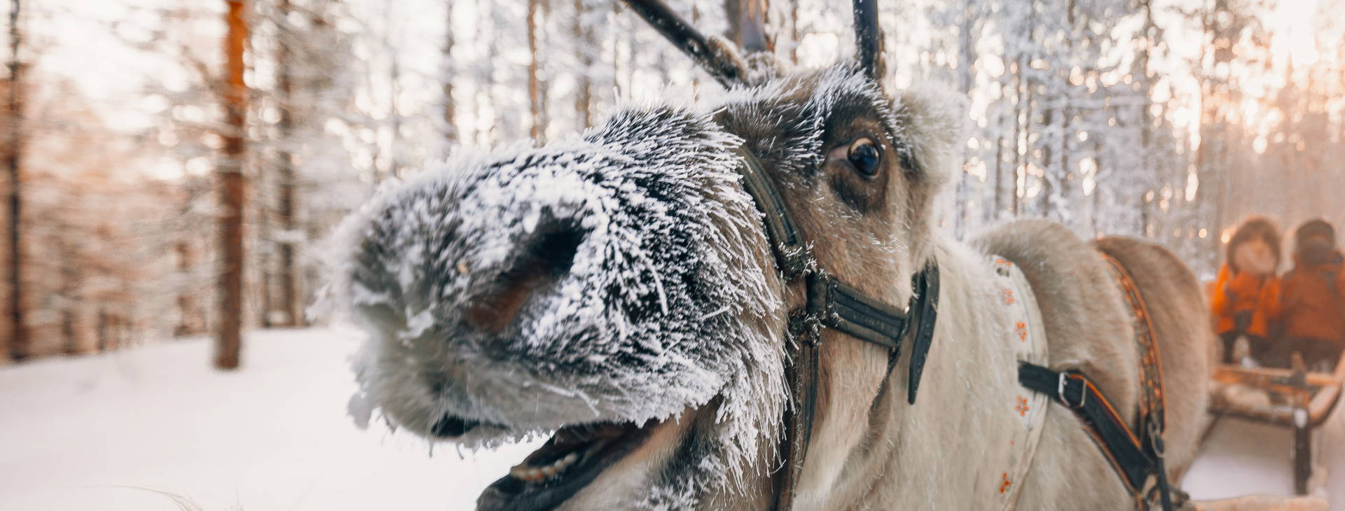 Ubytování RVN Obrázek17