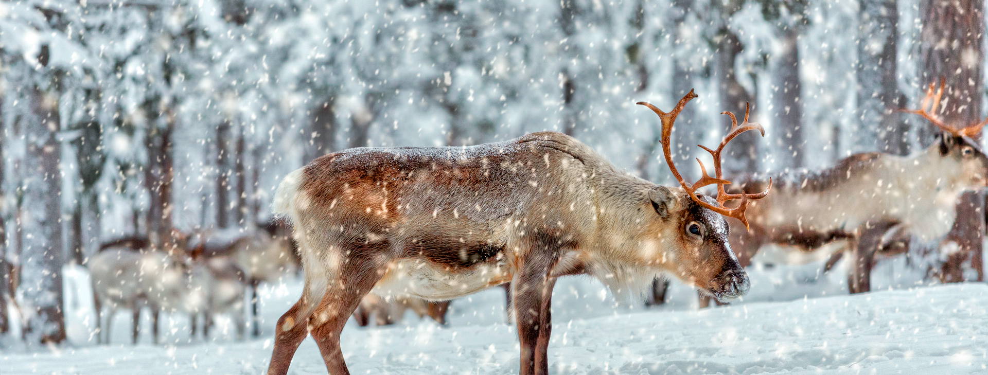 Ubytování RVN Obrázek18