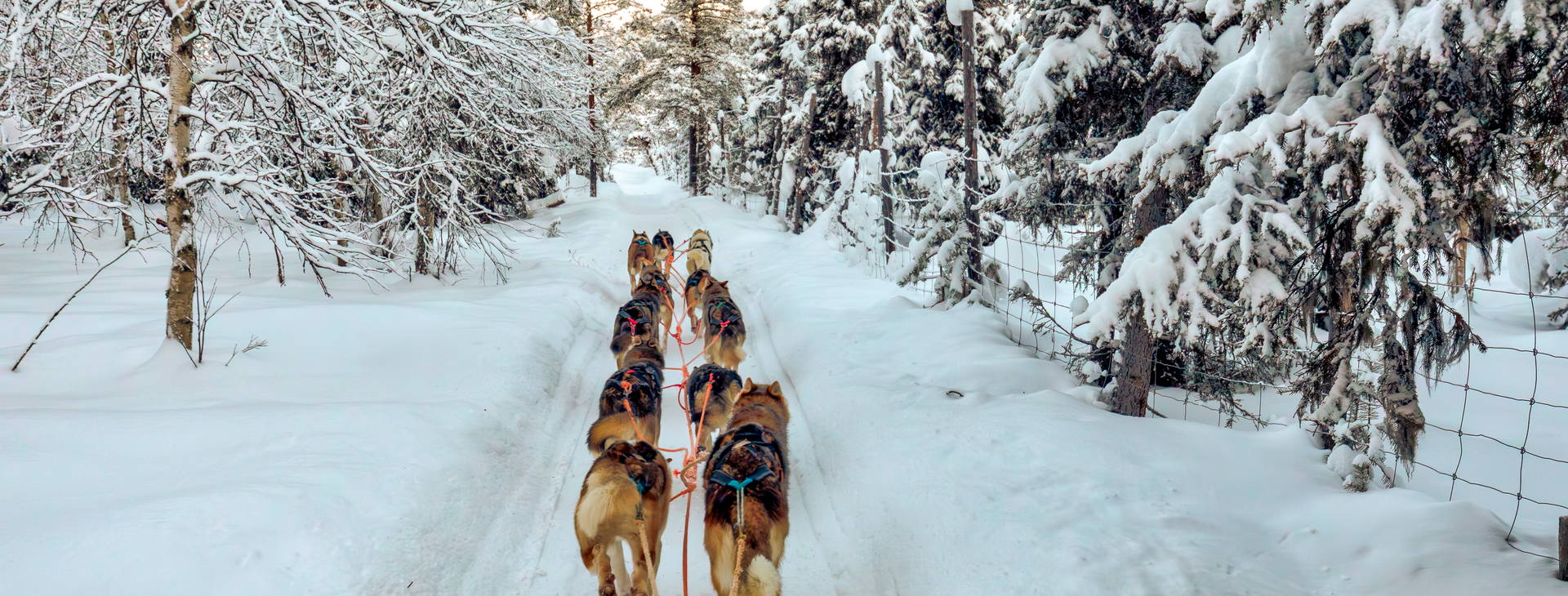 Ubytování RVN Obrázek3