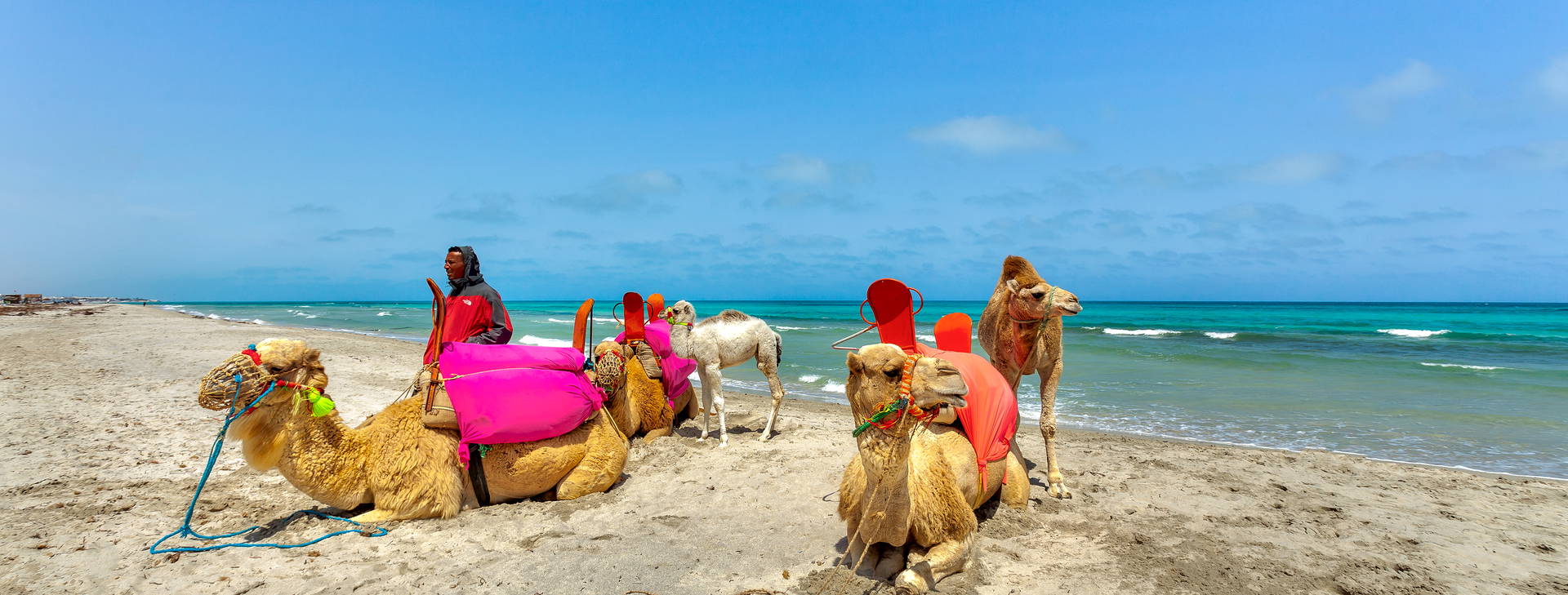 Cesar Thalasso & Convention Obrázek18