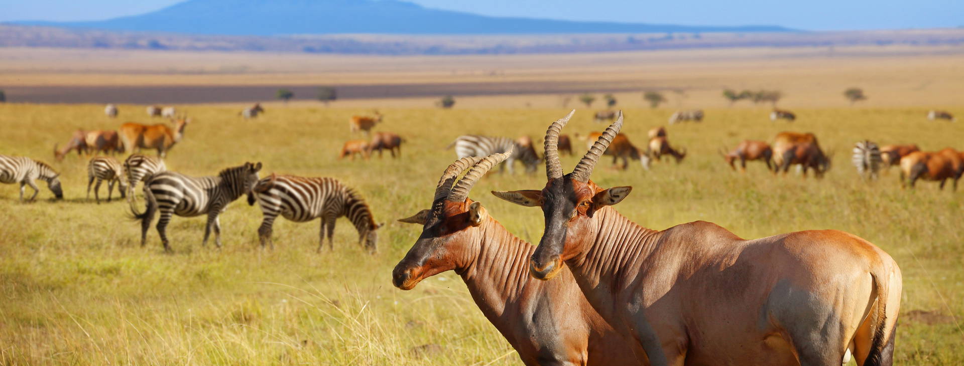 Ubytování KKX Obrázek4