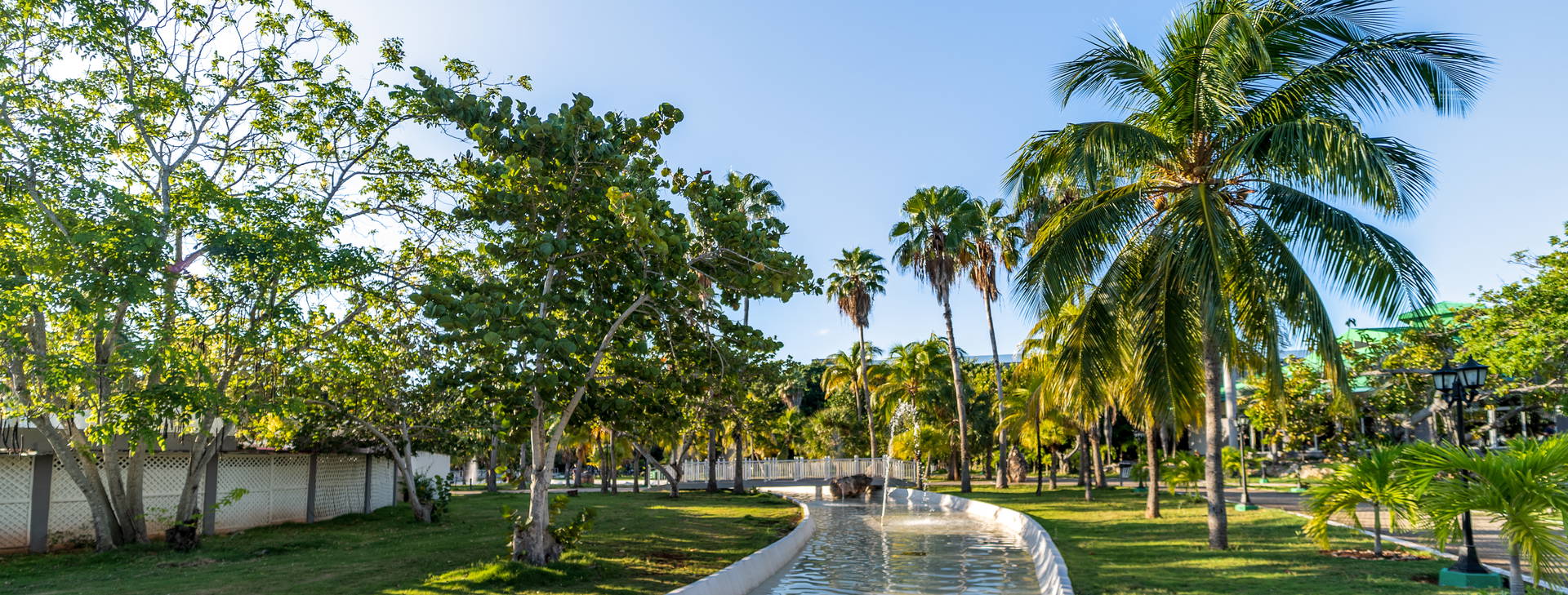 Starfish Varadero Obrázek23
