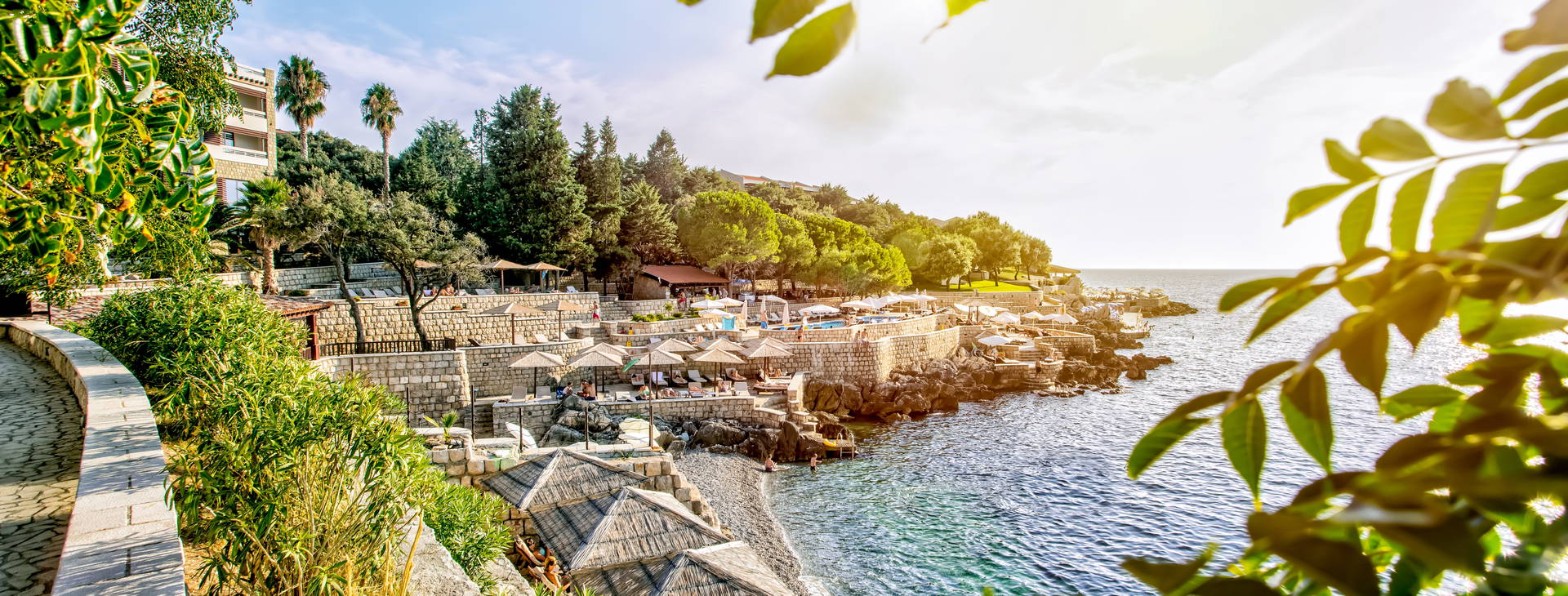 Wind Rose Obrázek16