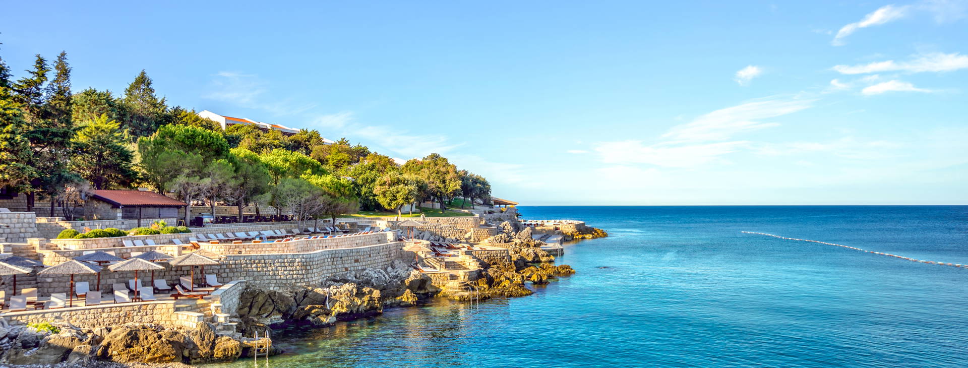 Wind Rose Obrázek15