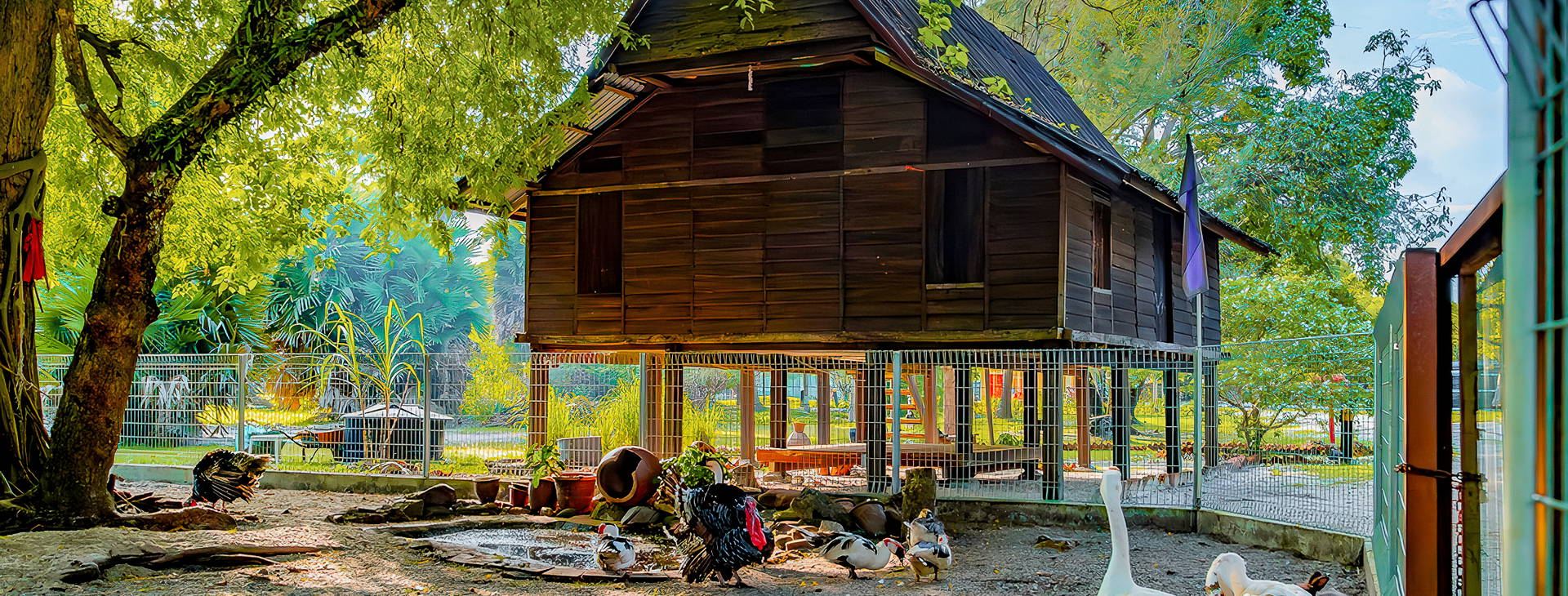 Pelangi Beach Obrázek34