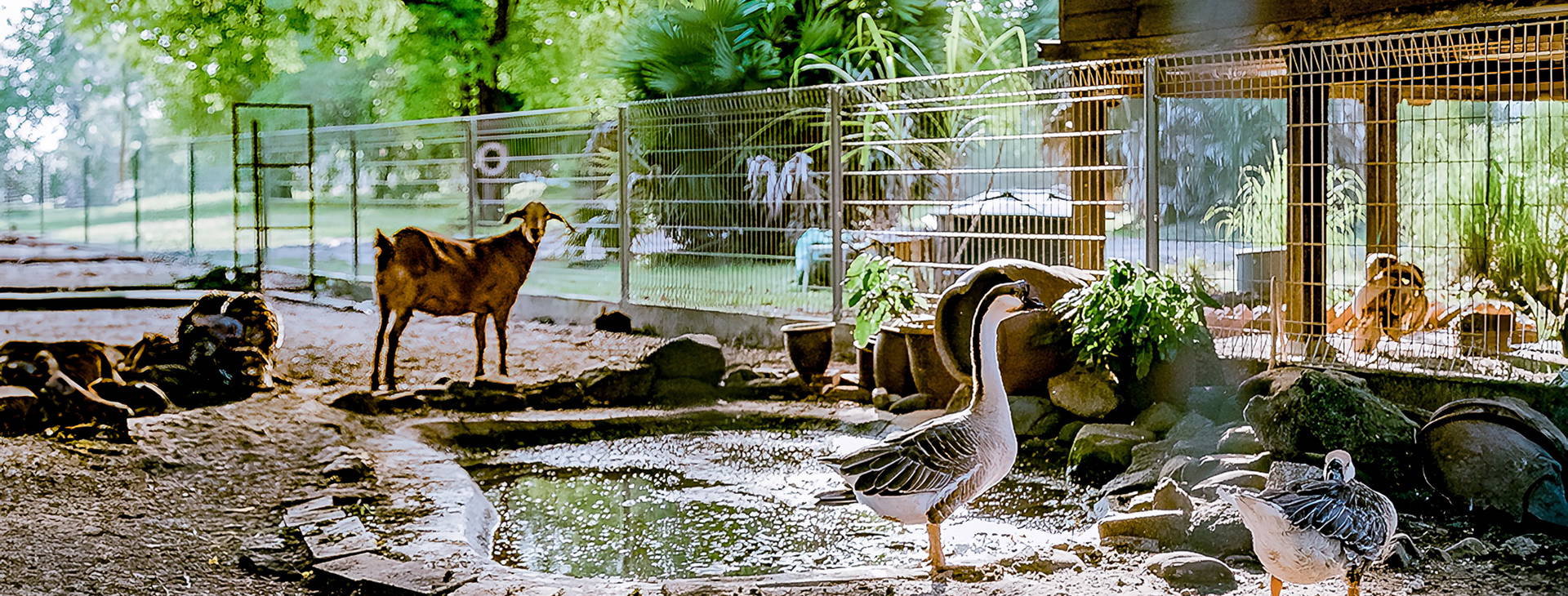 Pelangi Beach Obrázek33