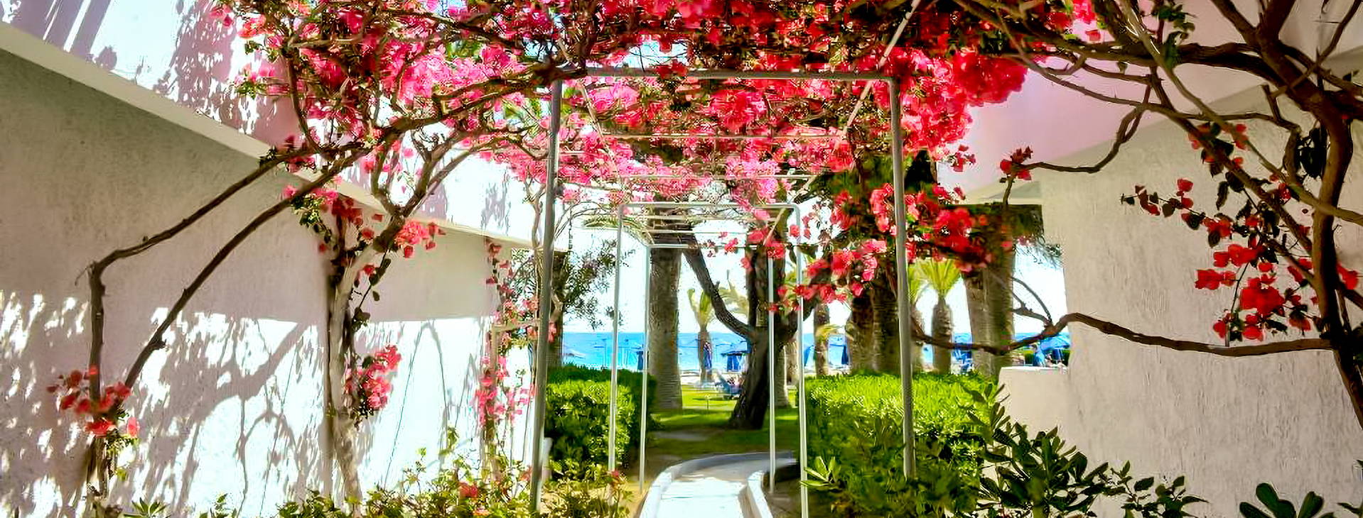 Blue Horizon Obrázek19