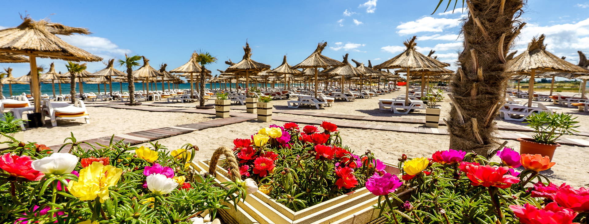 Mera Resort Venus Obrázek29