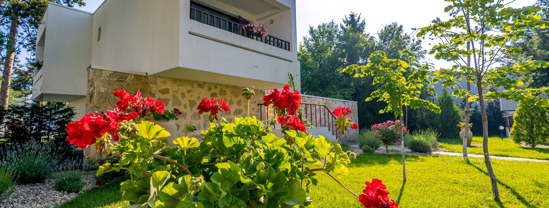 Mera Resort Venus Obrázek66