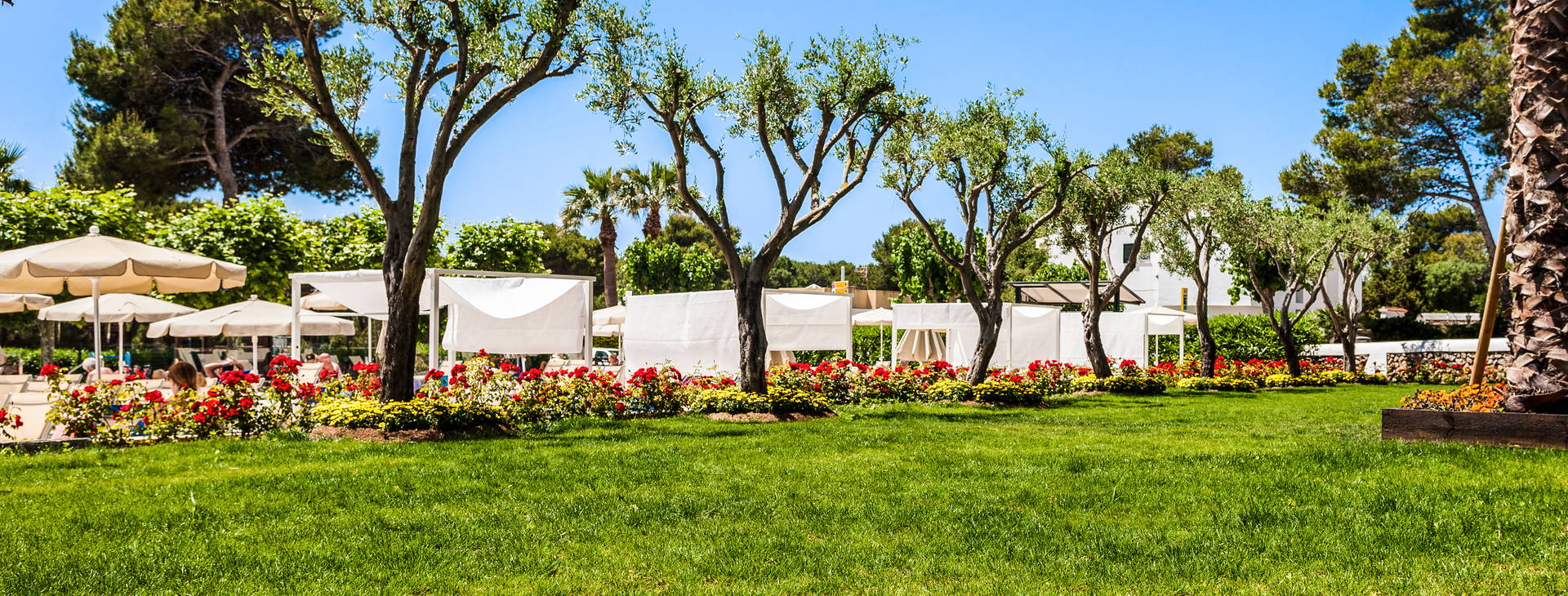 Globales Mediterrani Obrázek19