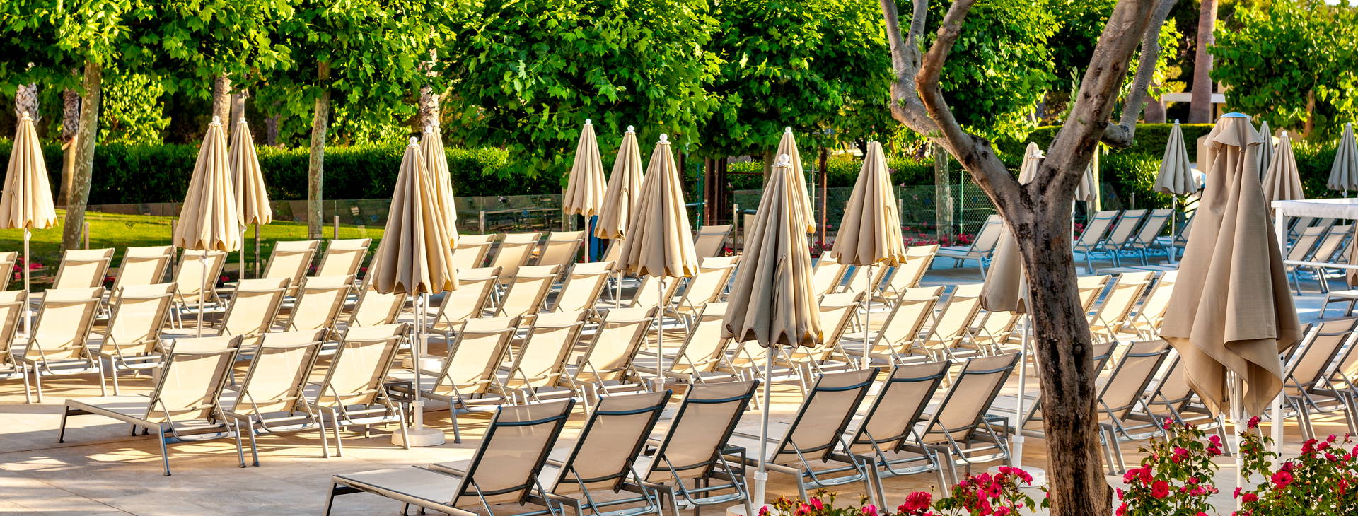 Globales Mediterrani Obrázek8