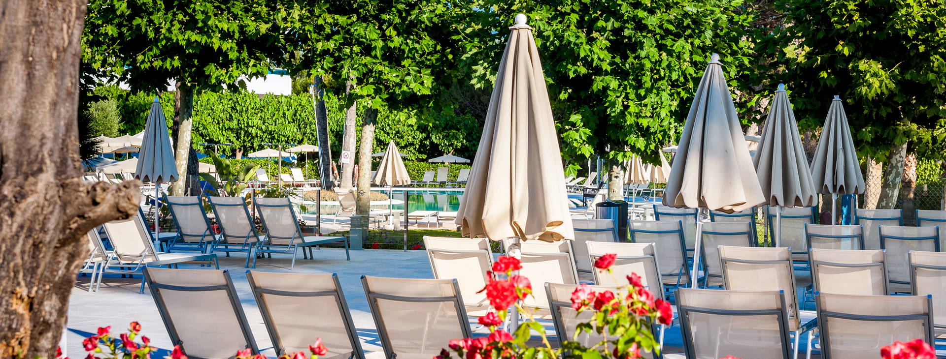 Globales Mediterrani Obrázek6