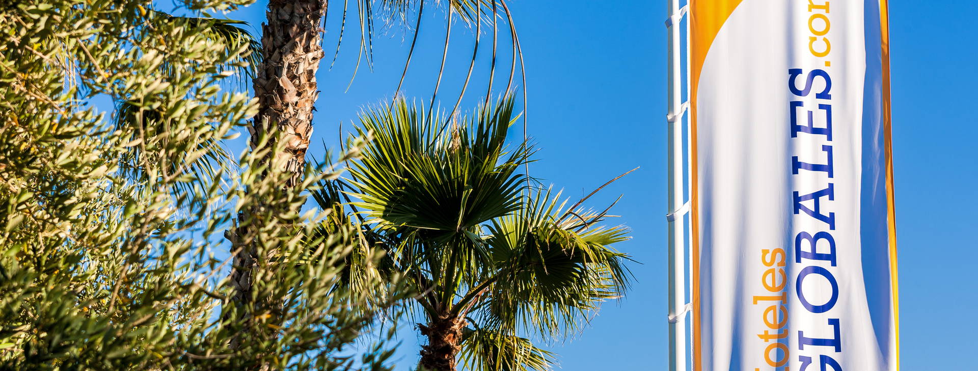 Globales Mediterrani Obrázek17