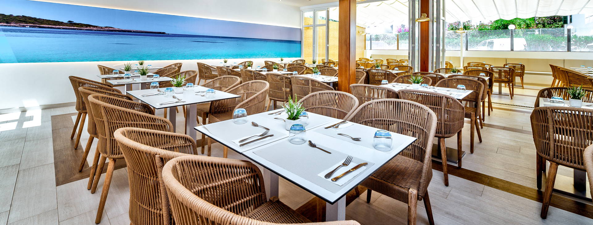 Globales Mediterrani Obrázek26