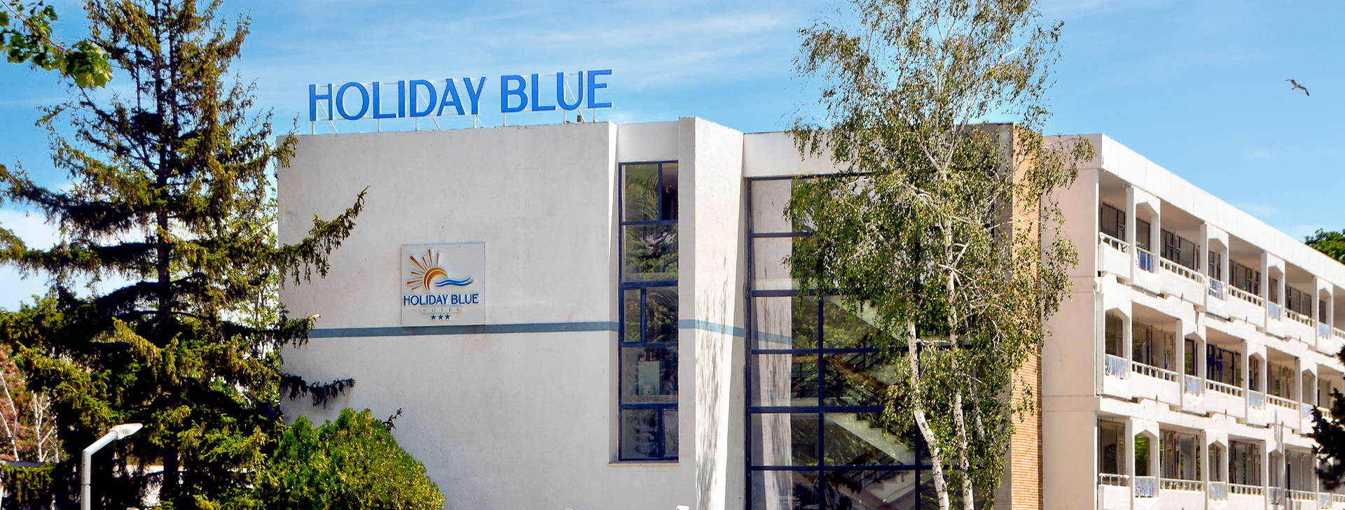 Holiday Blue Obrázek3