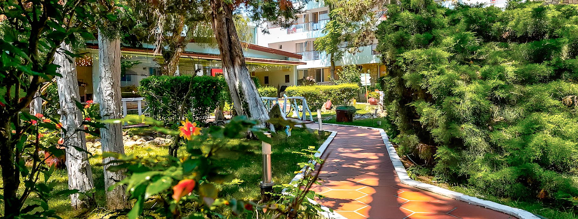 Majestic Jupiter Obrázek23