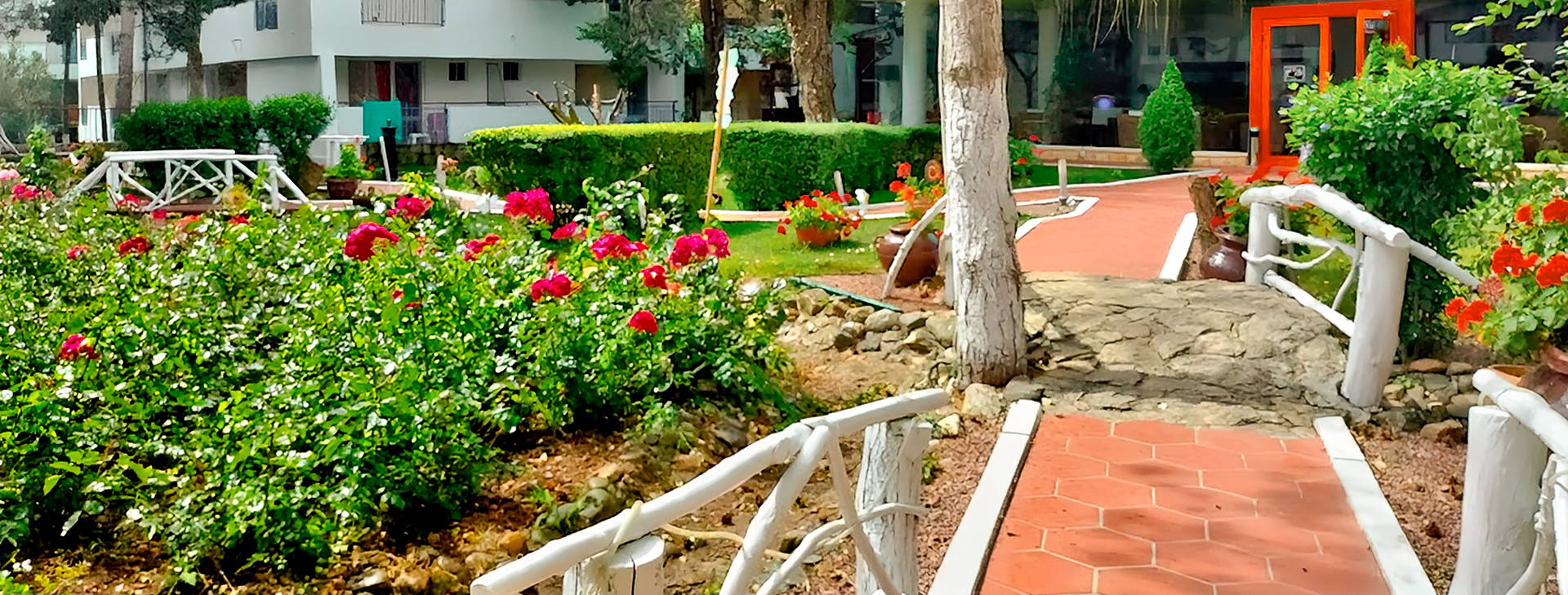 Majestic Jupiter Obrázek22