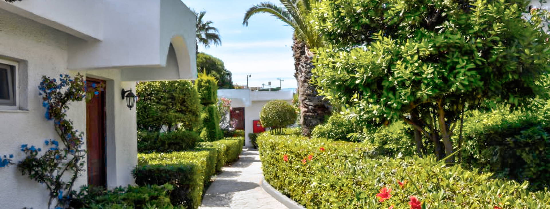 Blue Horizon Obrázek18