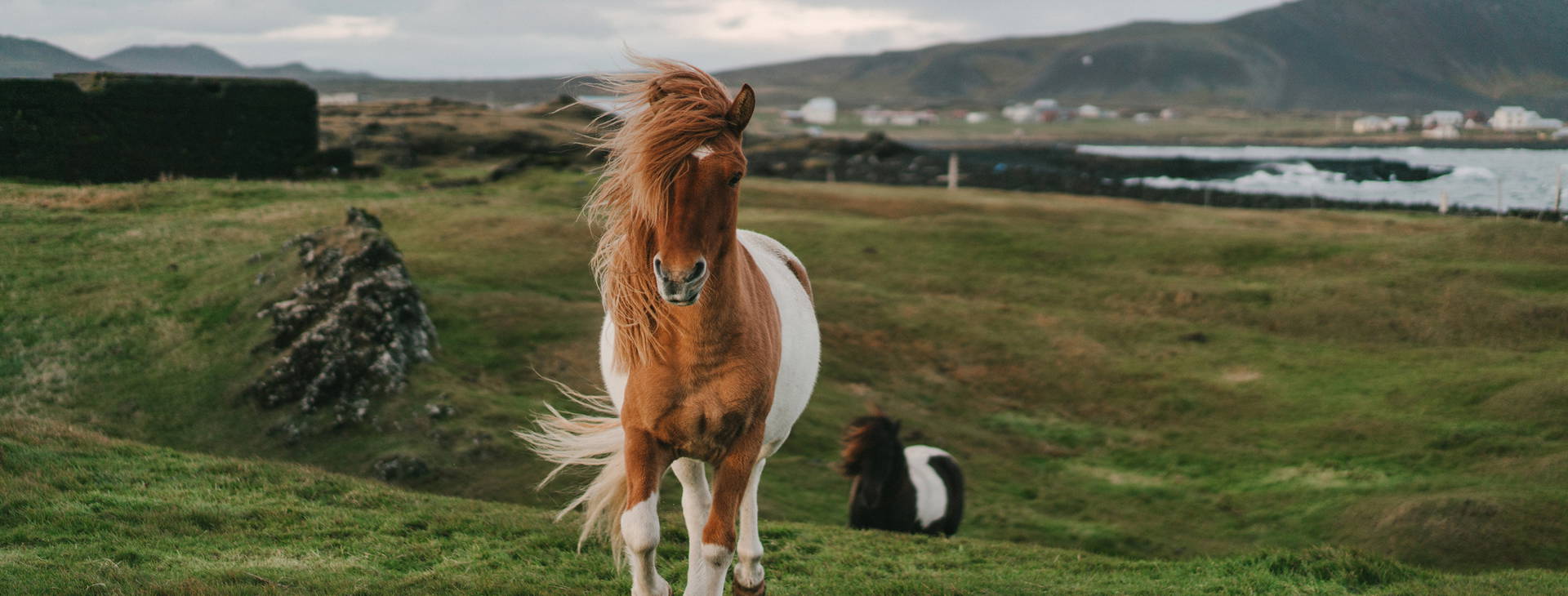Ubytování ISO Obrázek7