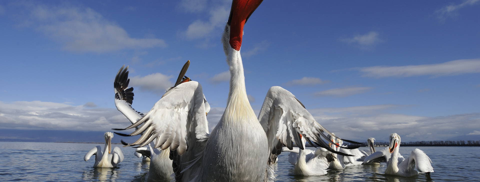 Ubytování GOG Obrázek2