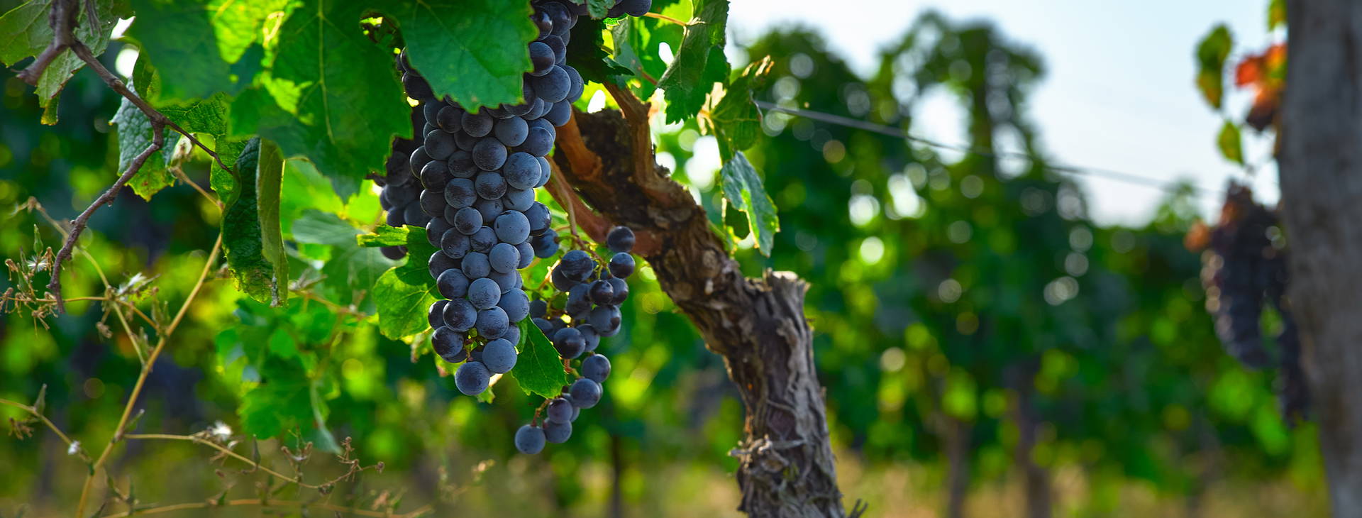 ﻿Ubytování RUC Obrázek9