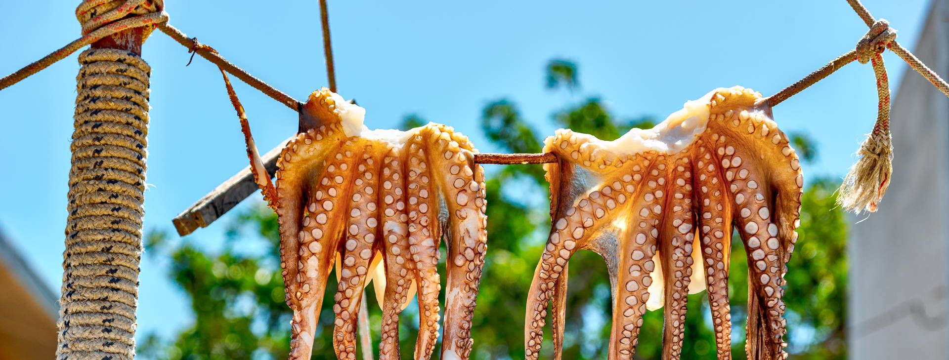 Ubytování RDR Obrázek27