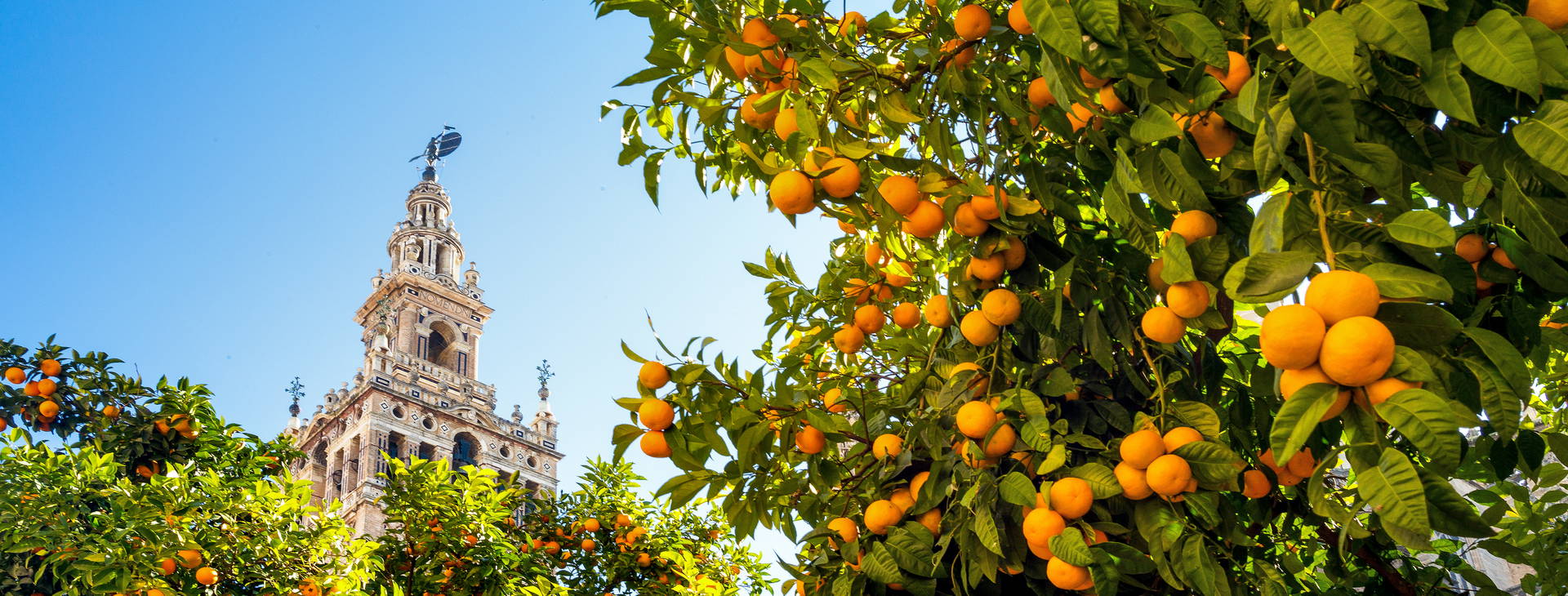 Ubytování HXA Obrázek2