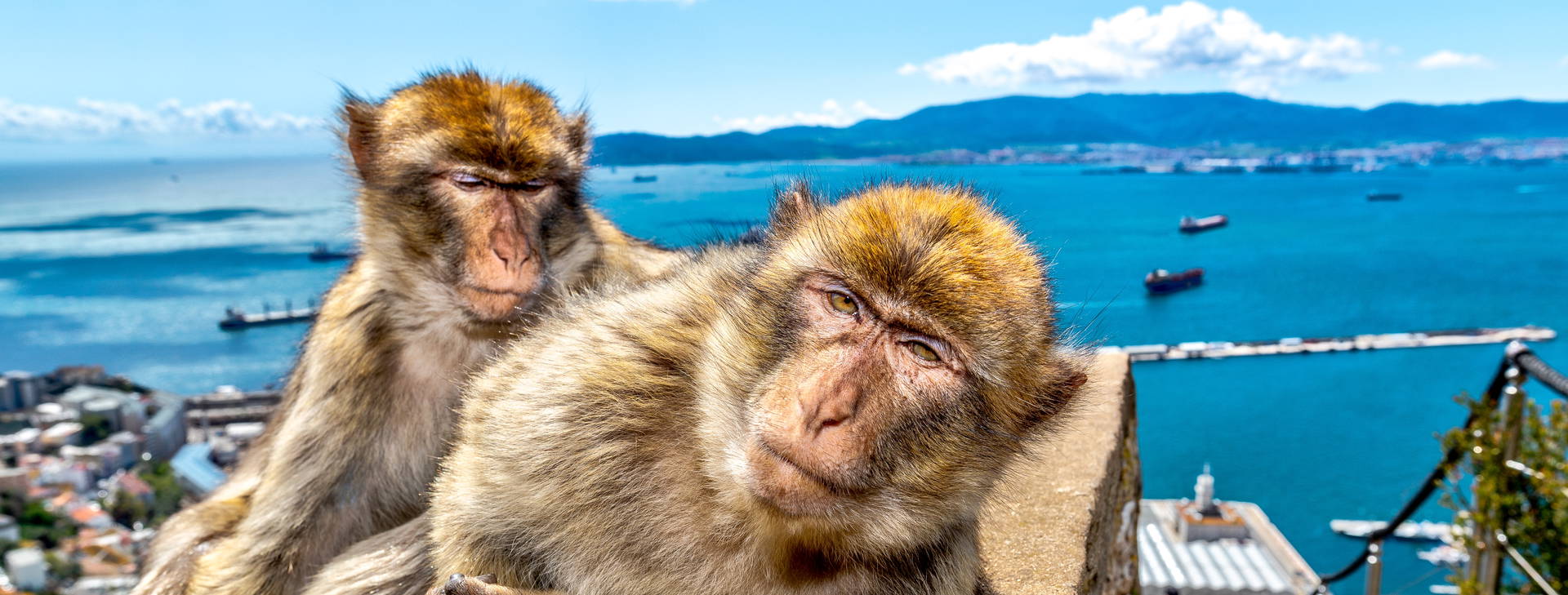 Ubytování HXA Obrázek5