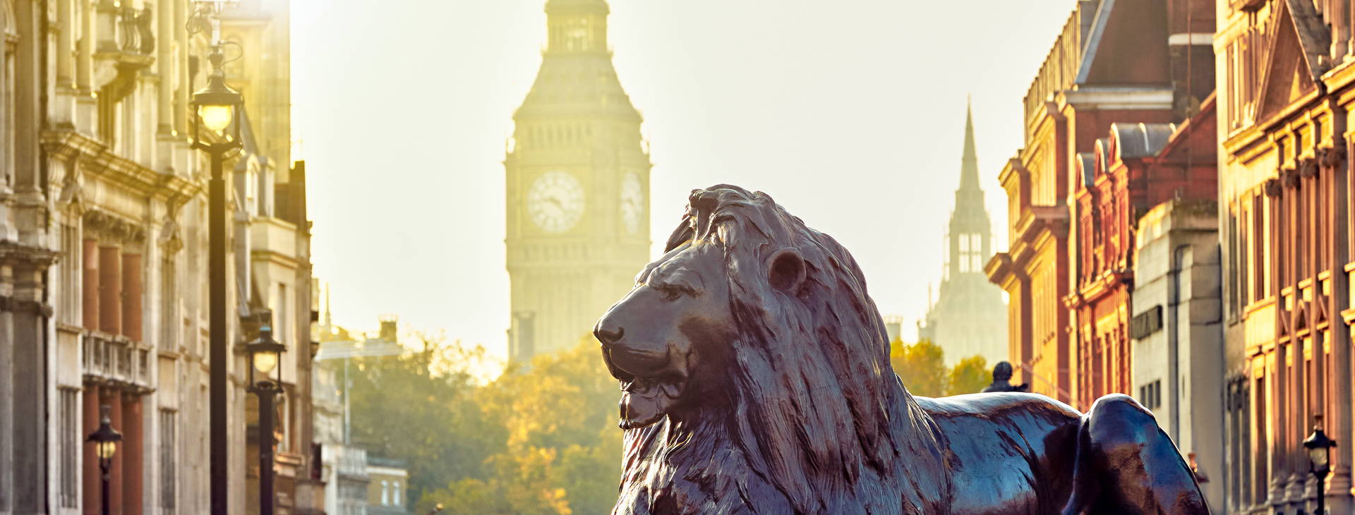 Ubytování WKX Obrázek15