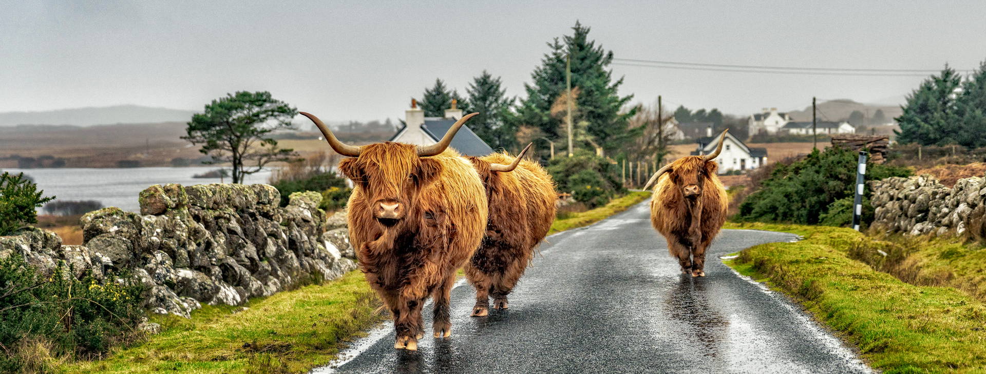 Ubytování WKX Obrázek34