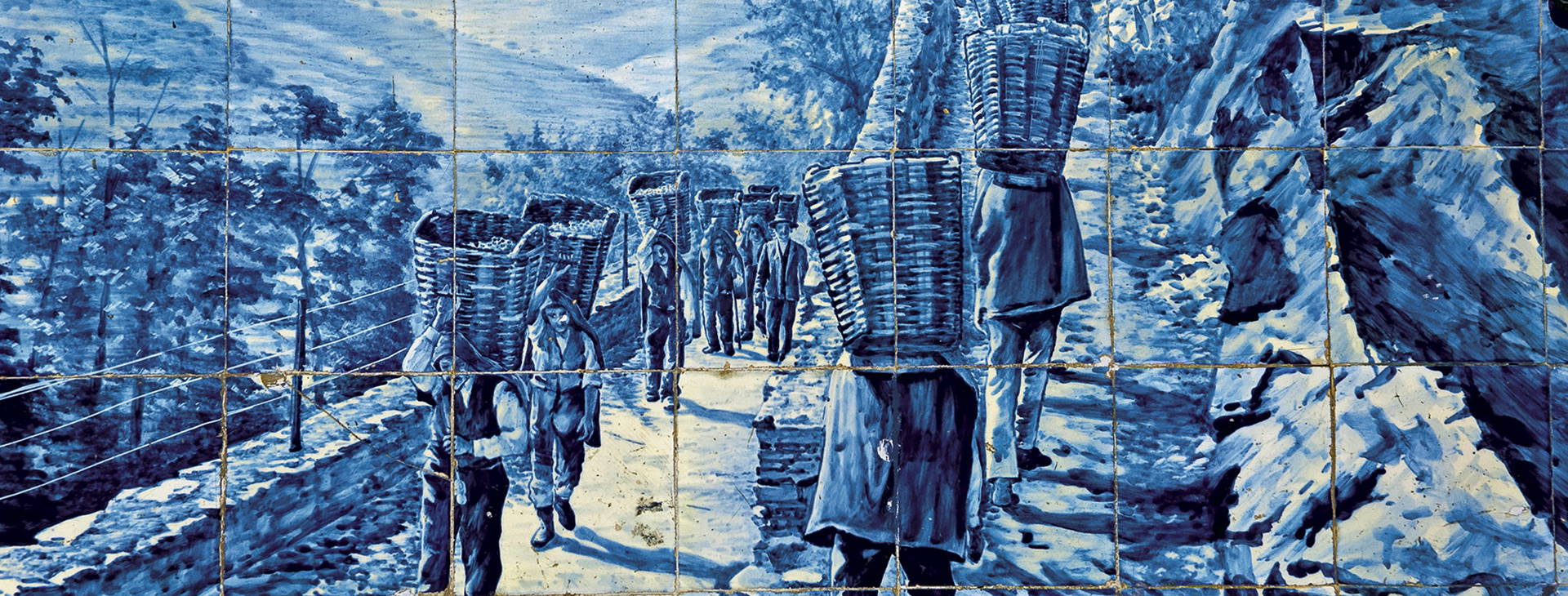 Ubytování PDX Obrázek8