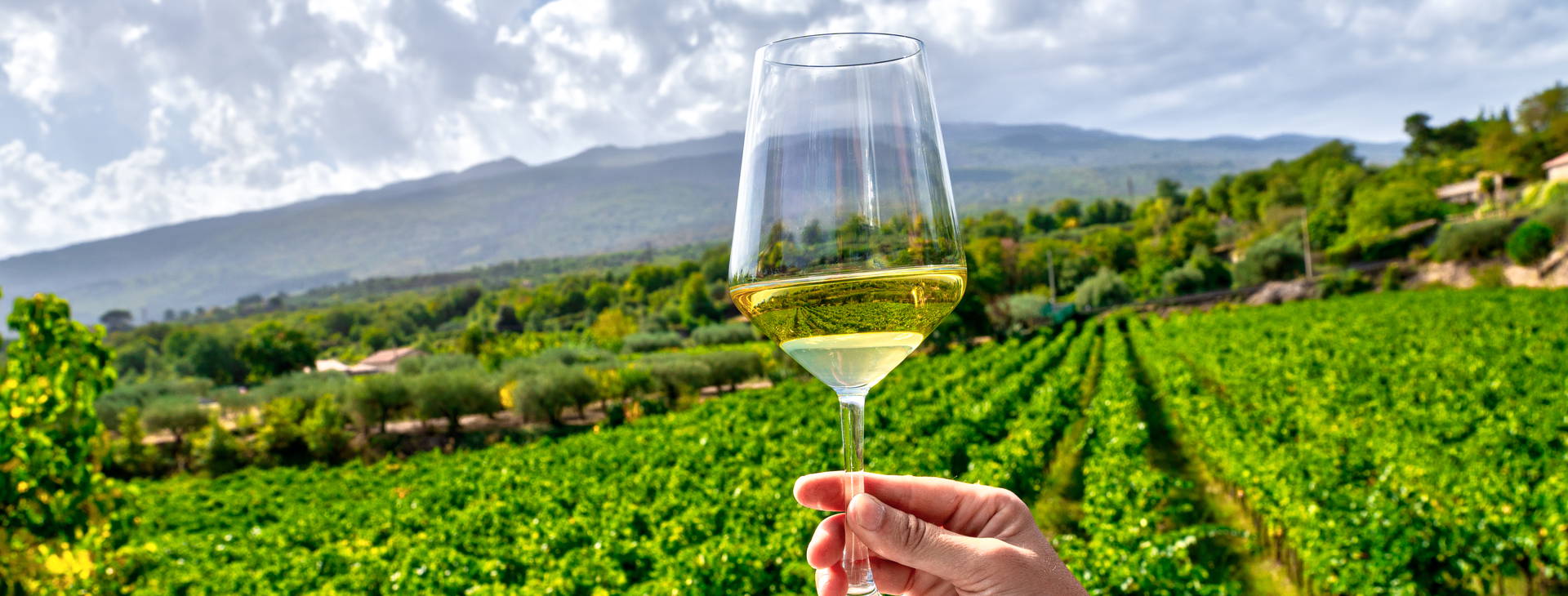 Ubytování STU Obrázek17