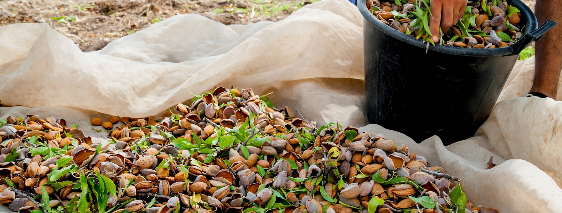 Ubytování STU Obrázek4