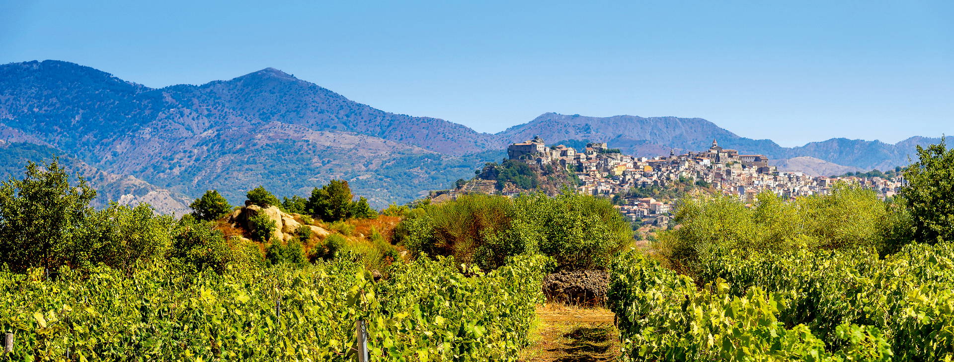 Ubytování STU Obrázek20