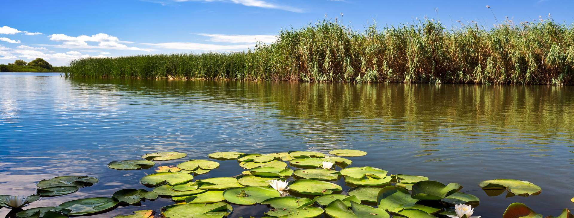 Ubytování ROA Obrázek24