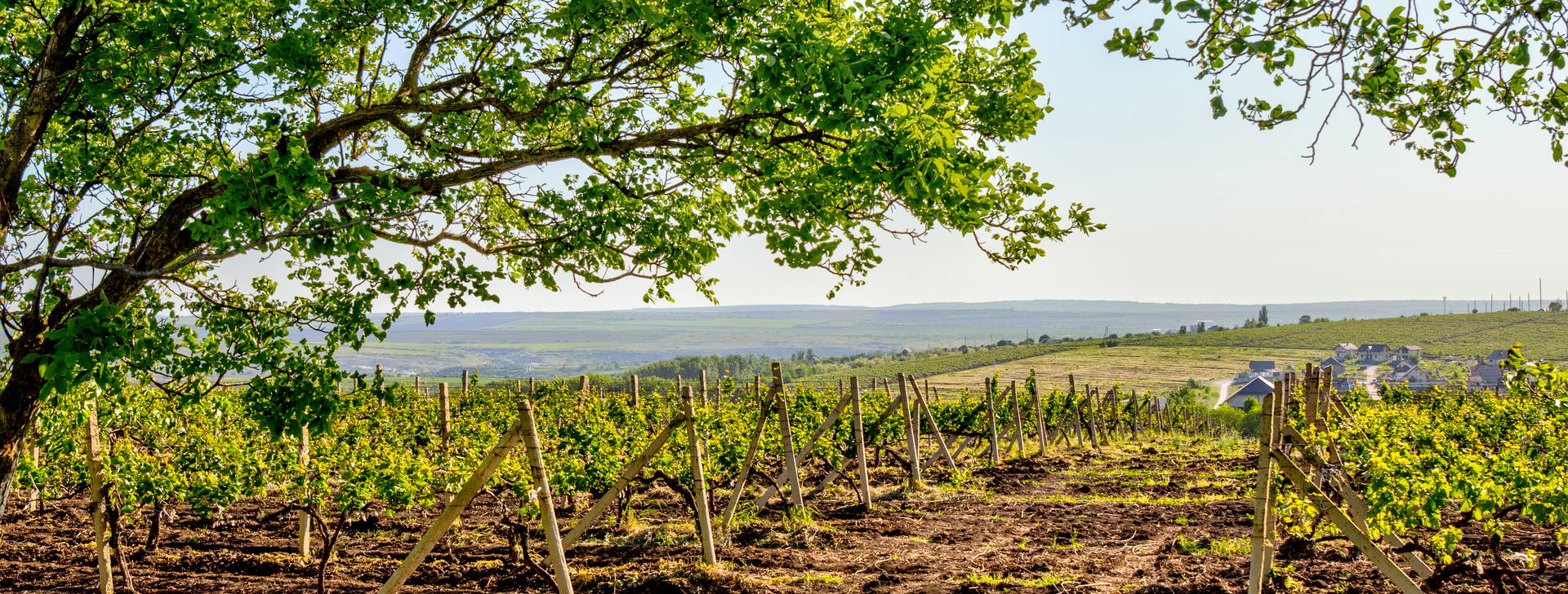 Ubytování ROA Obrázek9