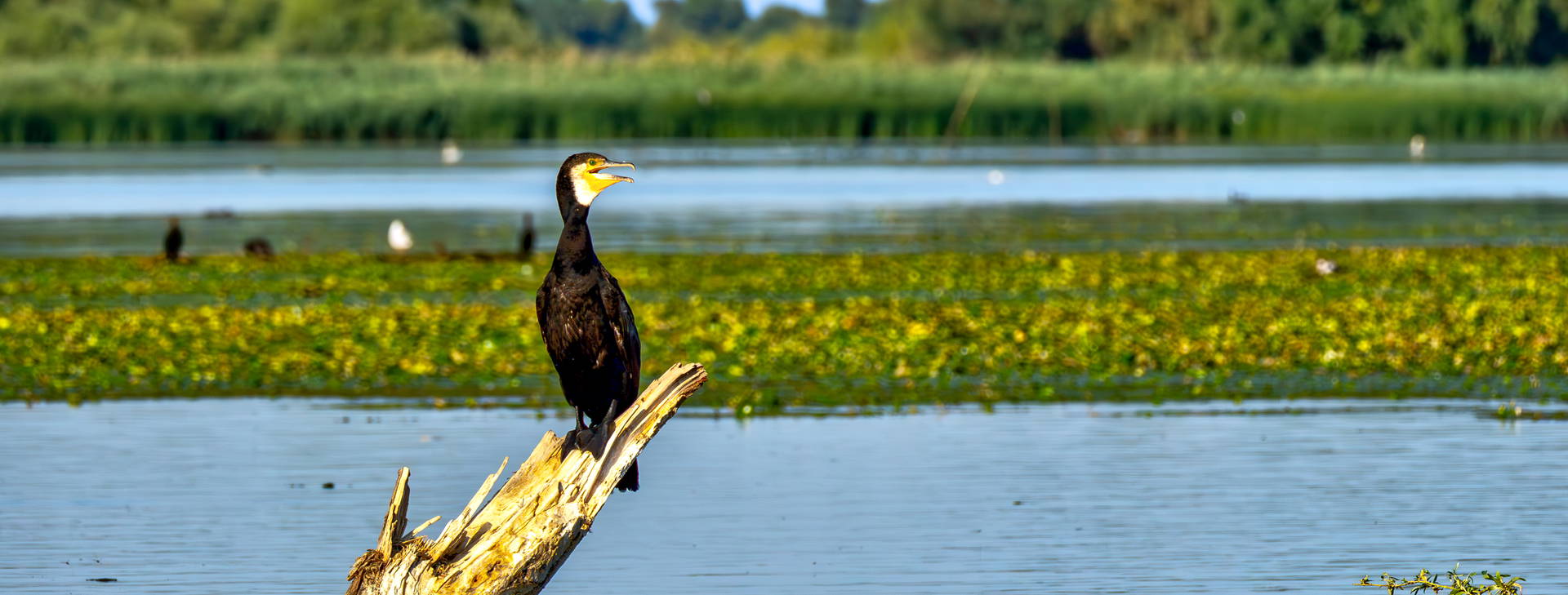 Ubytování ROA Obrázek11