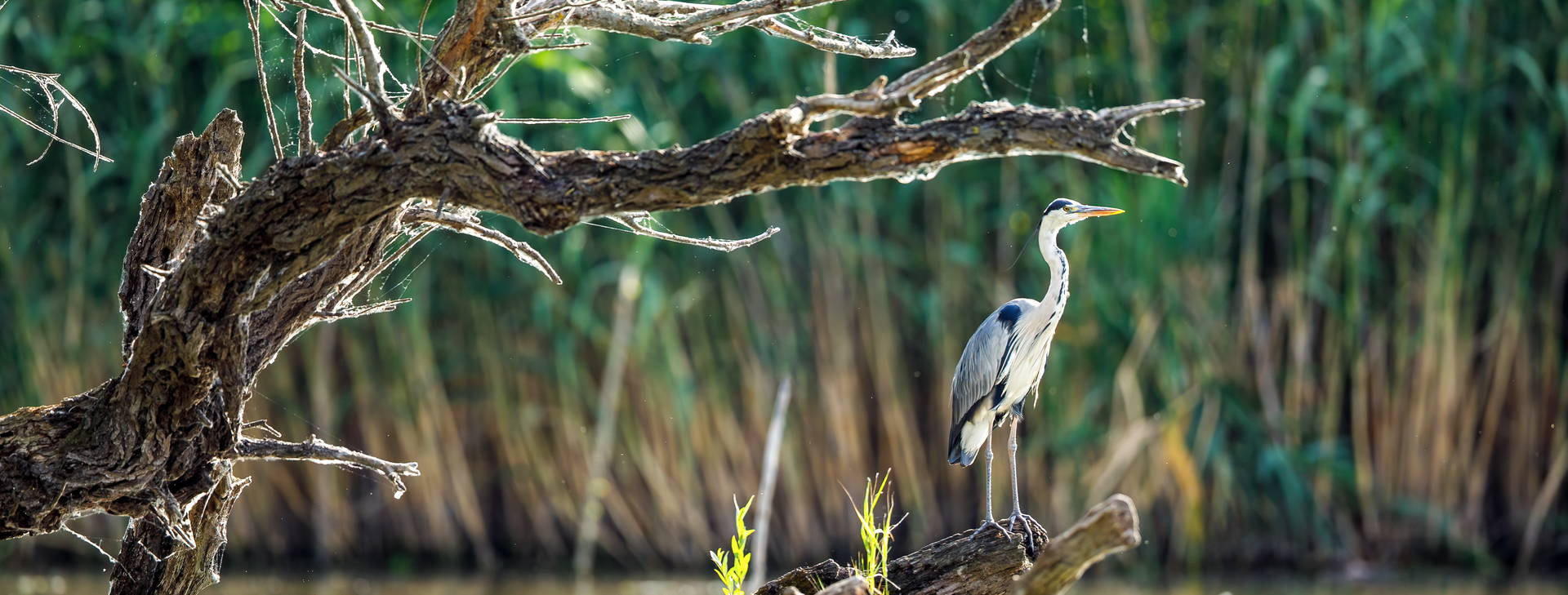 Ubytování ROA Obrázek15