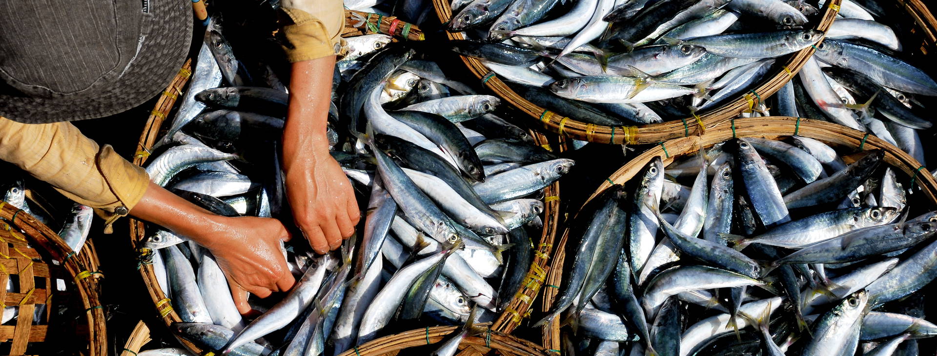 Ubytování HFK Obrázek6