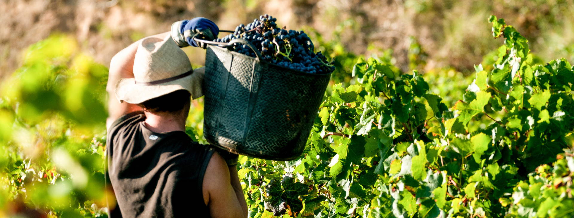 Ubytování HFK Obrázek0